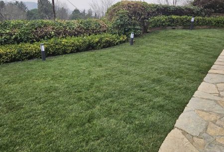 tuya-insaat-mimarlik-beykoz-villa-2